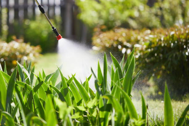 24/7 Emergency Mosquito Control experts in Wild Peach Village, TX