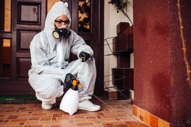 Reliable Mosquito Control contractor in Wild Peach Village, TX by Show Me Pest Control